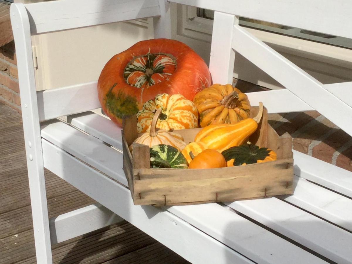 B&B De Eikenhorst Elsloo  エクステリア 写真