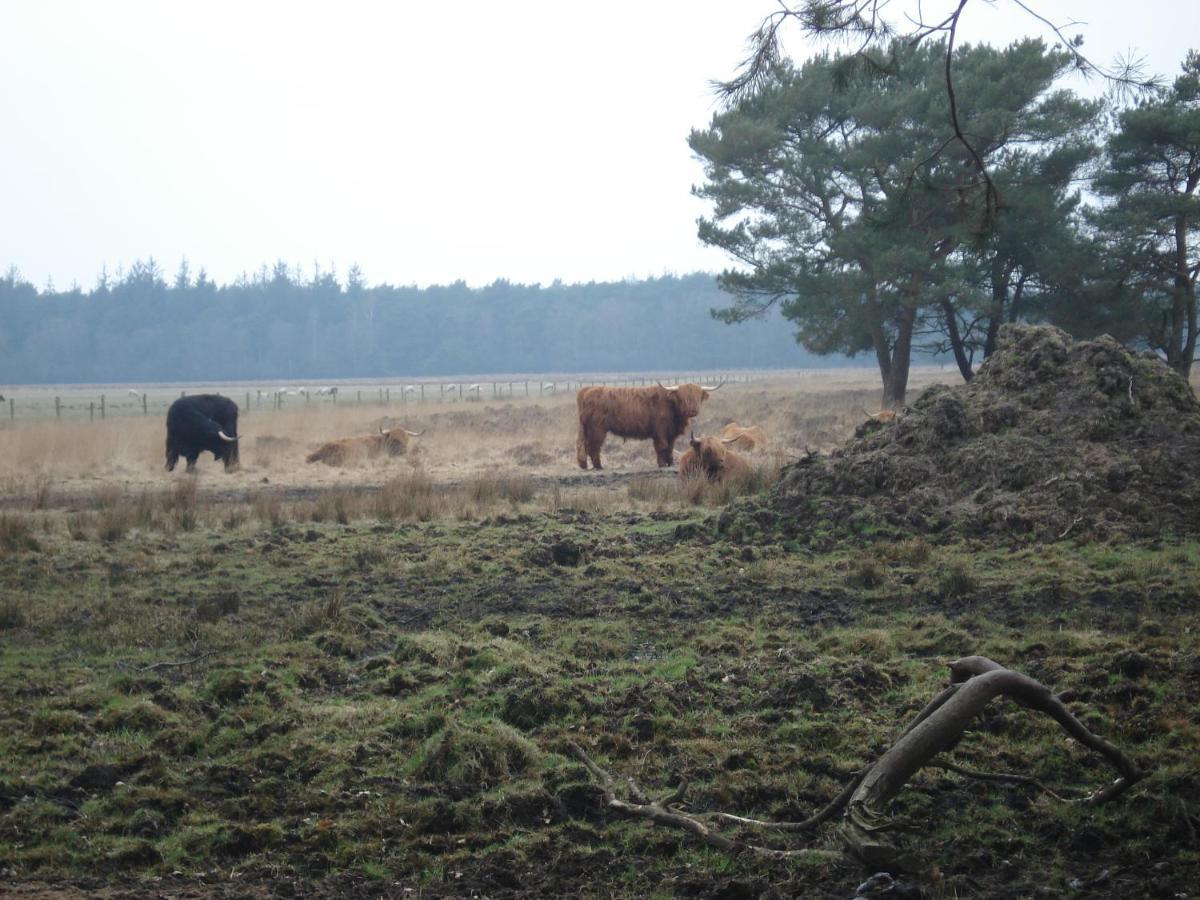 B&B De Eikenhorst Elsloo  エクステリア 写真